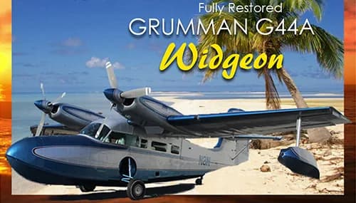 A blue and silver Grumman G44A Widgeon seaplane is parked on a sandy beach with palm trees and ocean in the background.