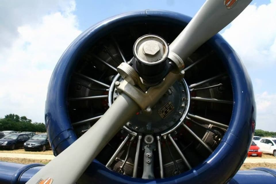 A blue North American T-6 Texan aircraft parked on a grassy field.