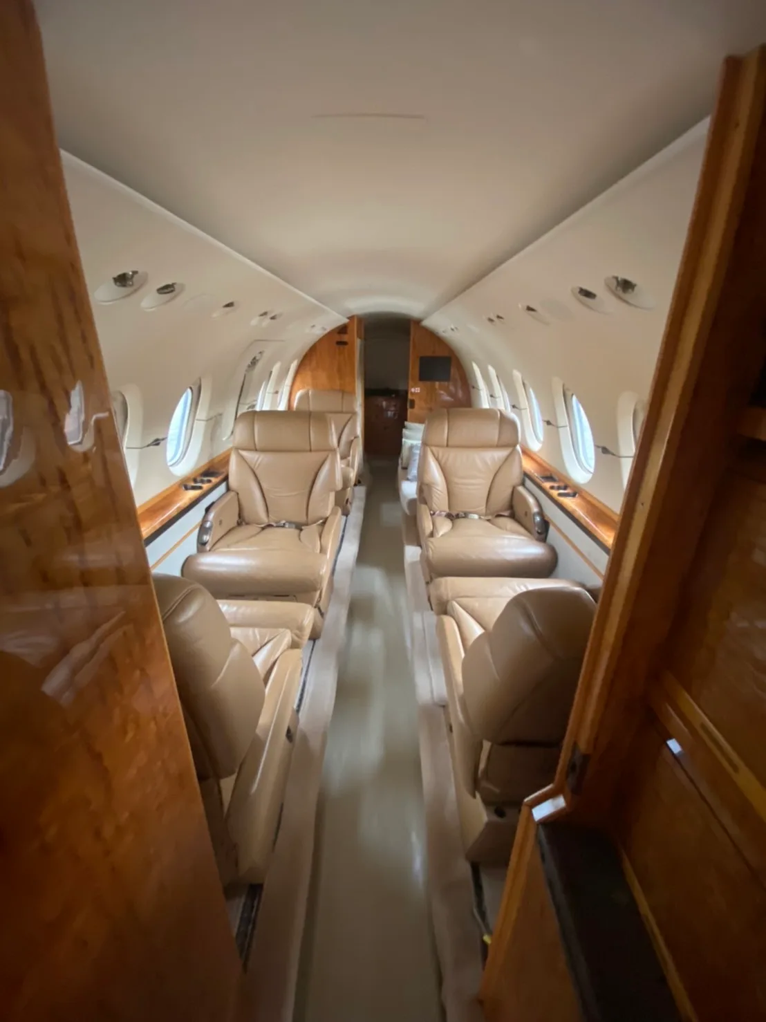 Interior view of the aircraft cabin with leather seats.