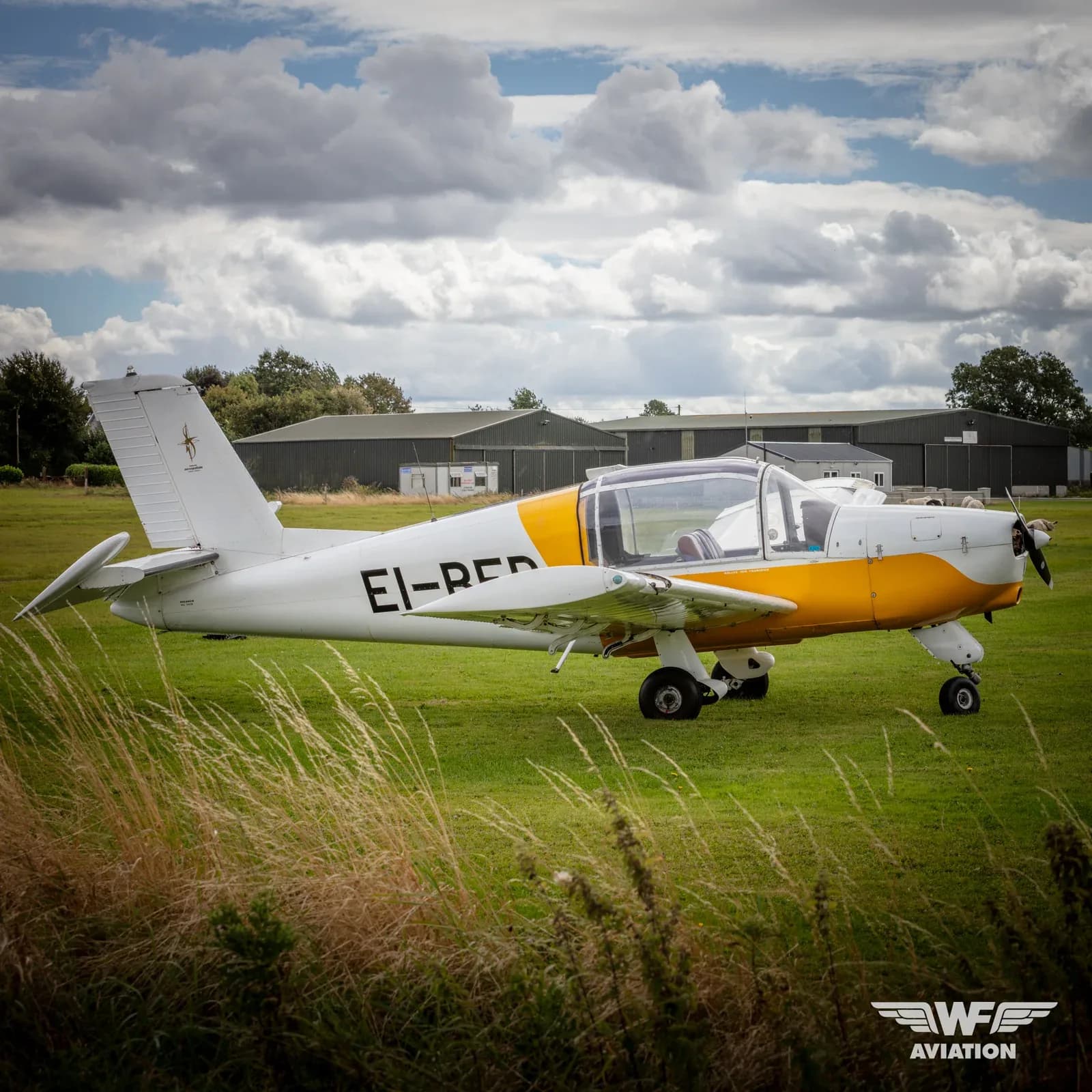 A white and yellow single-engine aircraft with registration EI-RED is parked on a grassy field with hangars in the background under a cloudy sky.