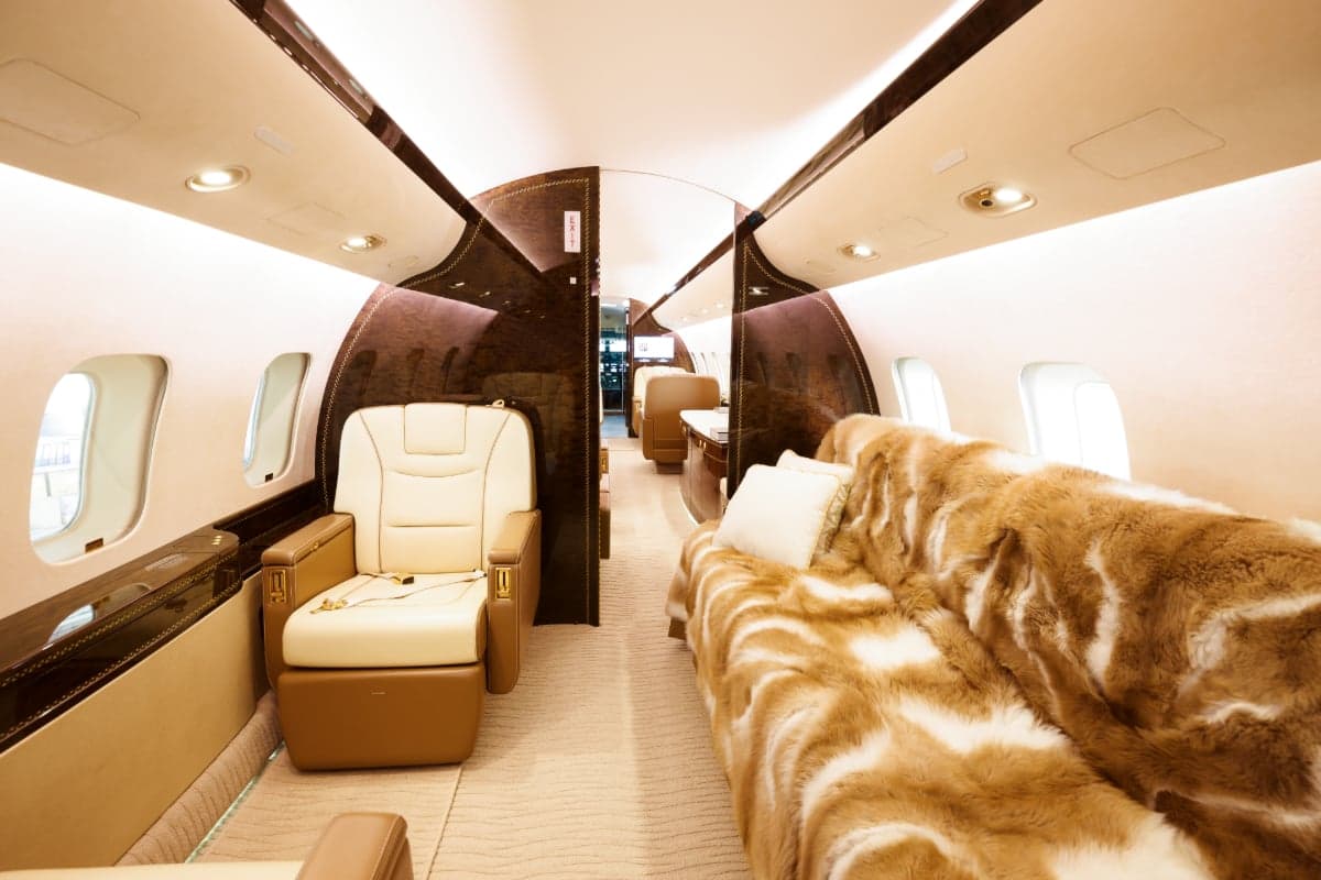 View of the aircraft interior with a couch and leather seat.