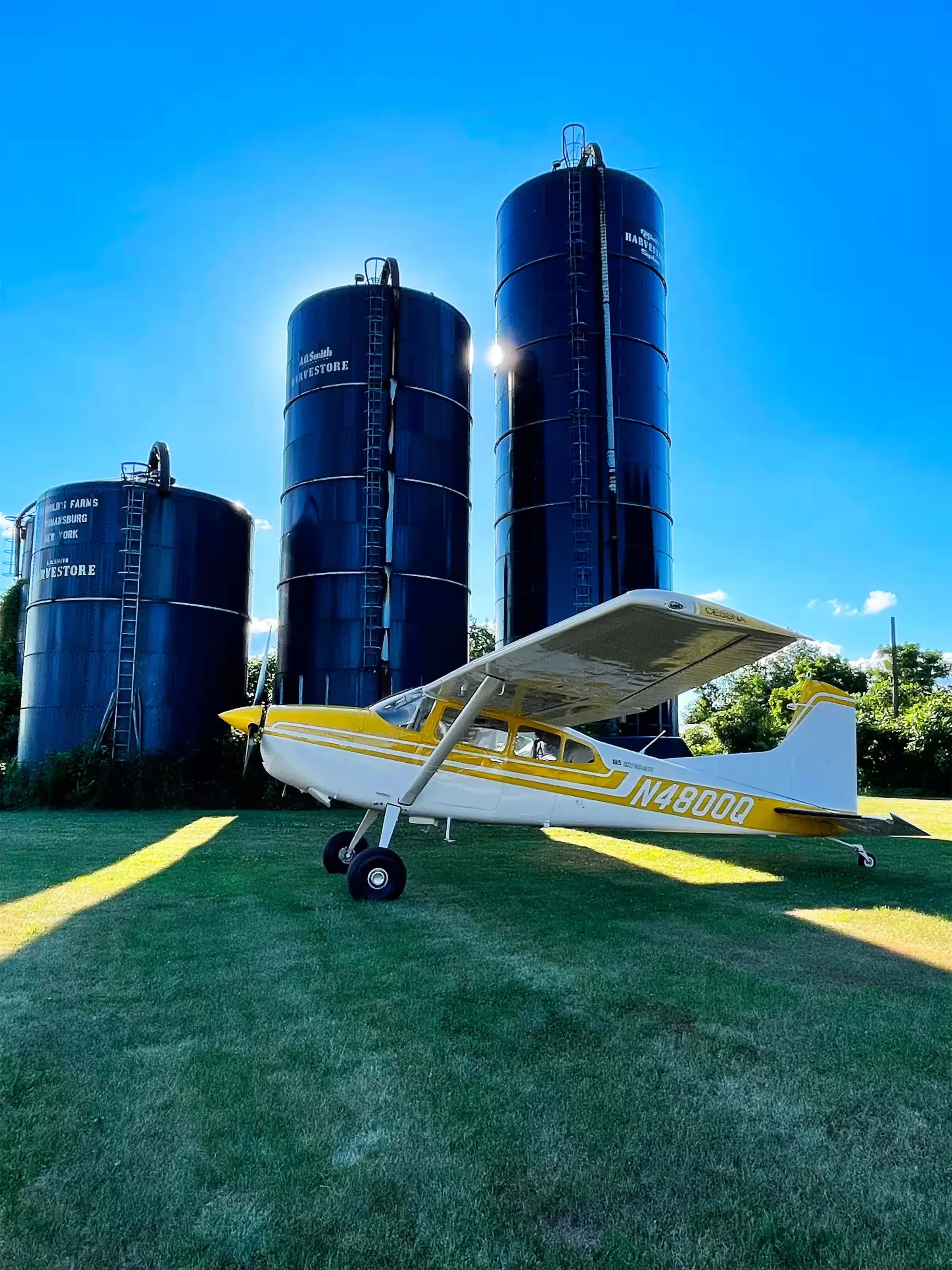 A yellow and white Cessna 185 aircraft, N4800Q, on wheels, parked on green grass in front of three large black silos.