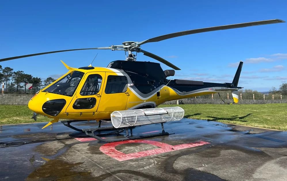 Yellow and black helicopter on a helipad with a basket attached.