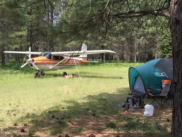 An orange and white single-engine bush plane is parked in a grassy, wooded area next to a green camping tent.