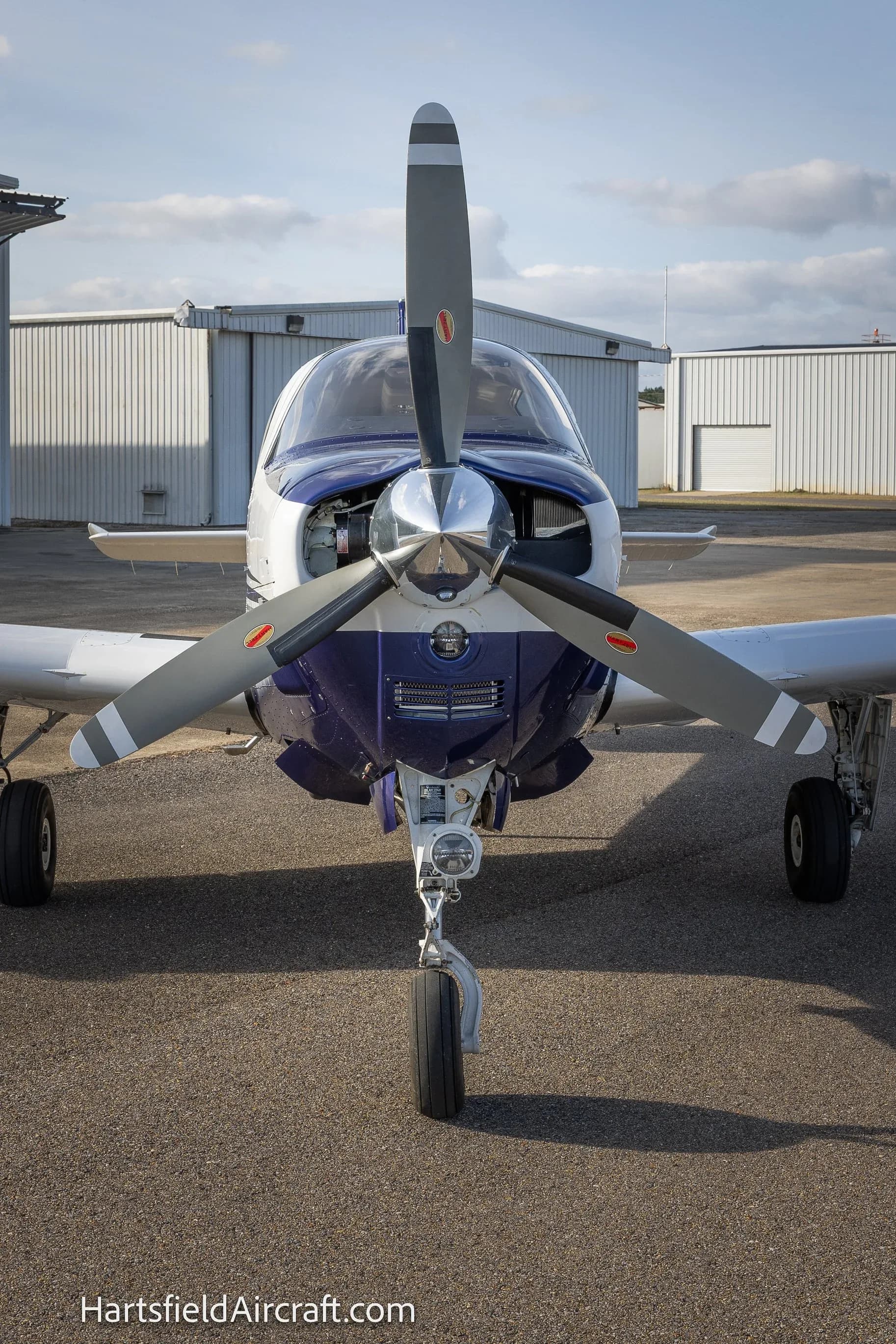 Front view of a Beechcraft Bonanza G36 aircraft on the ground.