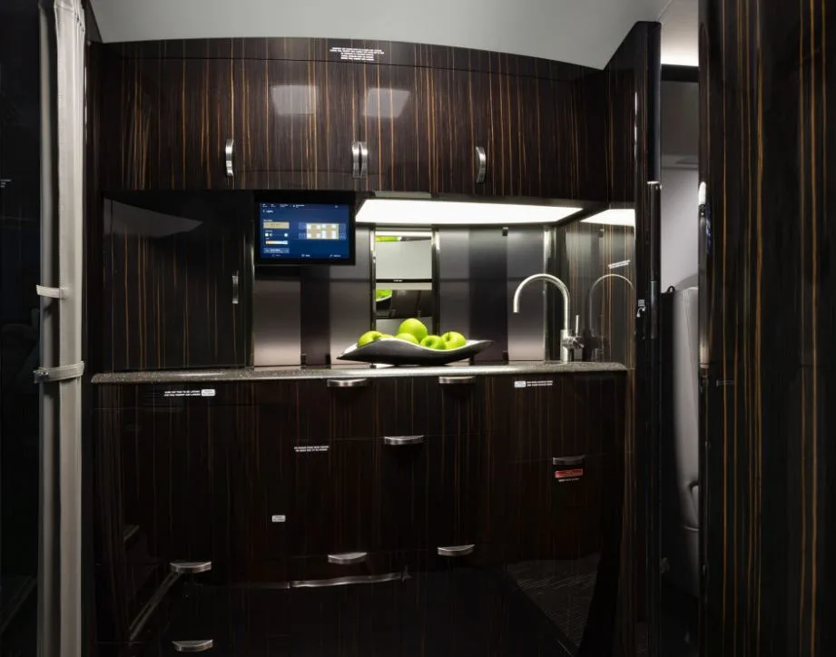 Aircraft galley with dark wood cabinetry and stainless steel sink with apples.