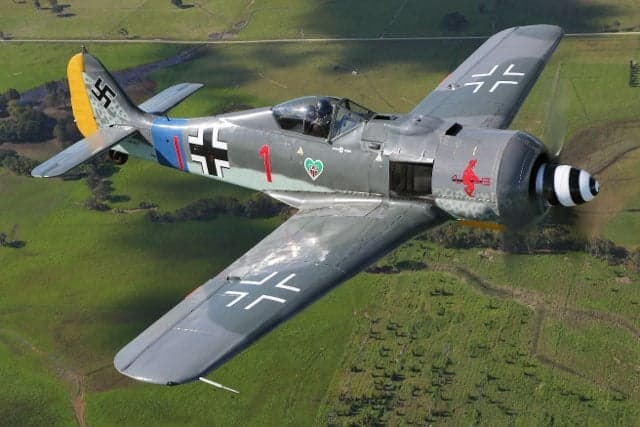 A grey Focke-Wulf Fw 190 warbird with German markings and a red '1' on the fuselage flies over green fields.