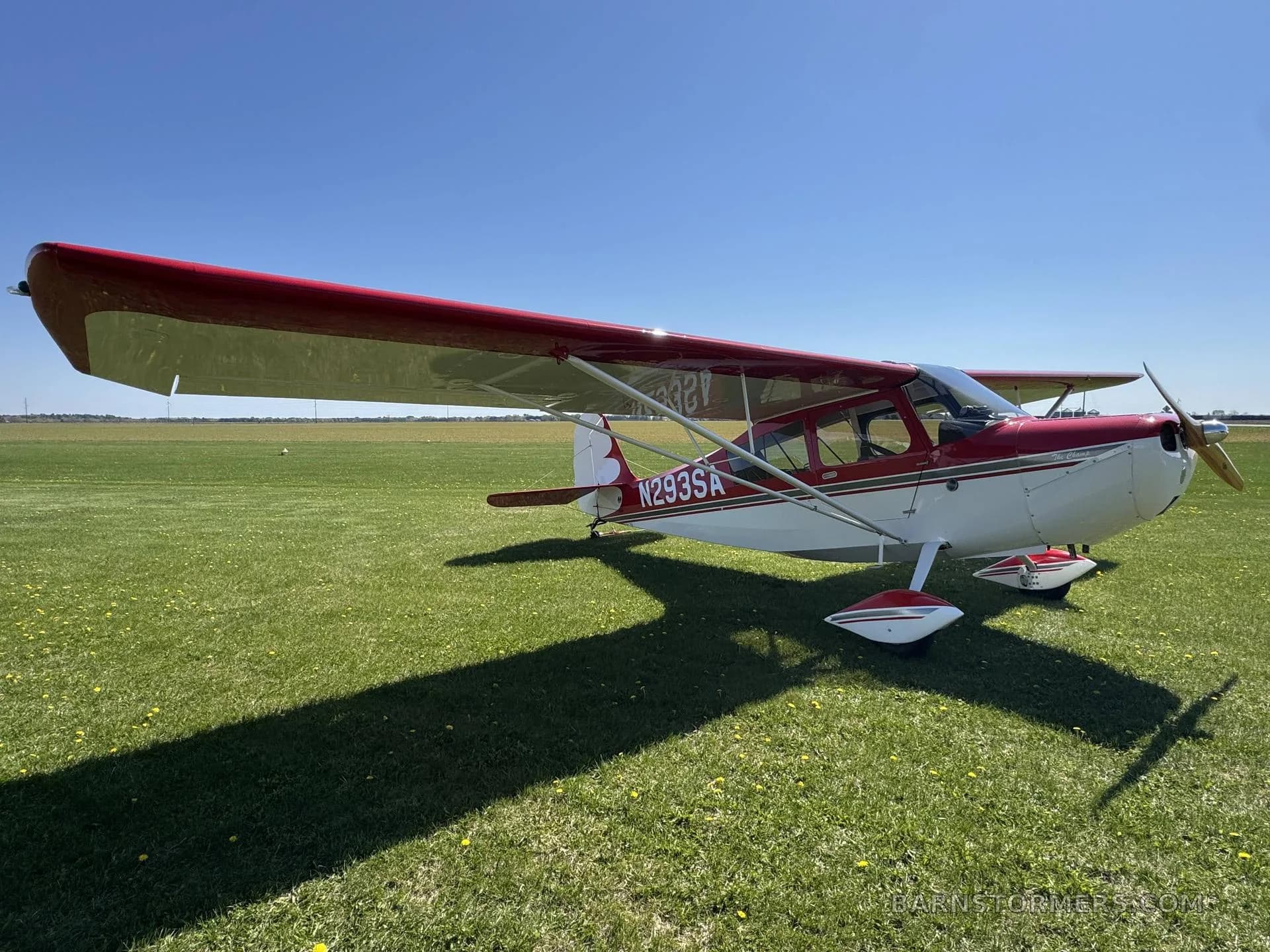 A red and white single-engine aircraft with tail number N293SA parked on a grassy field under a clear blue sky.