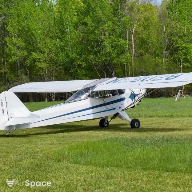 Rear-left view of a white single-engine high-wing aircraft with blue stripes, showing N58028 on the wing, parked on a grassy field.