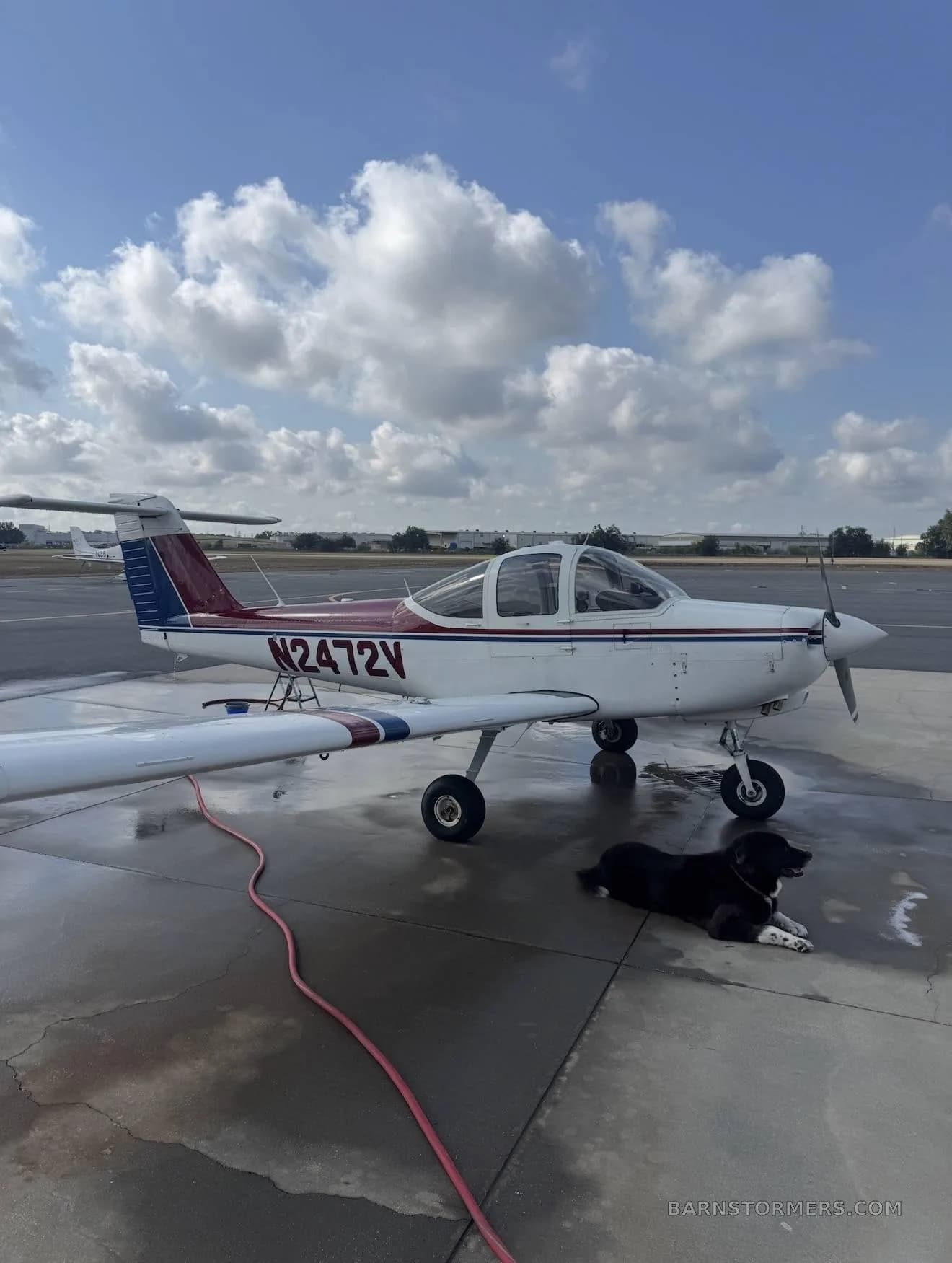 A white single-engine aircraft with red and blue stripes (N2472V) is parked on an asphalt ramp with a black dog lying next to it, under a partly cloudy sky.