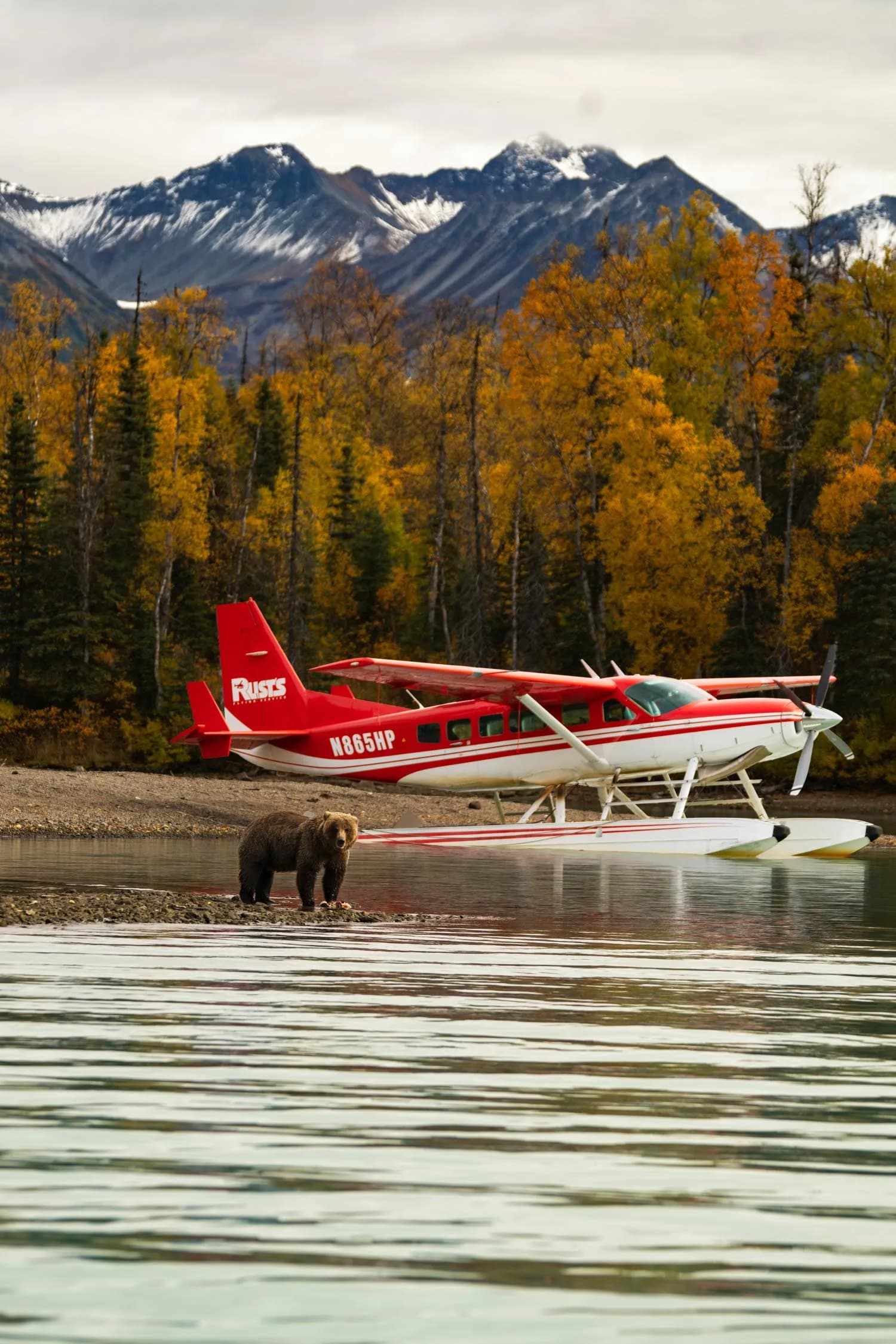 Red and white floatplane N865HP parked on a lake with a bear in the foreground.