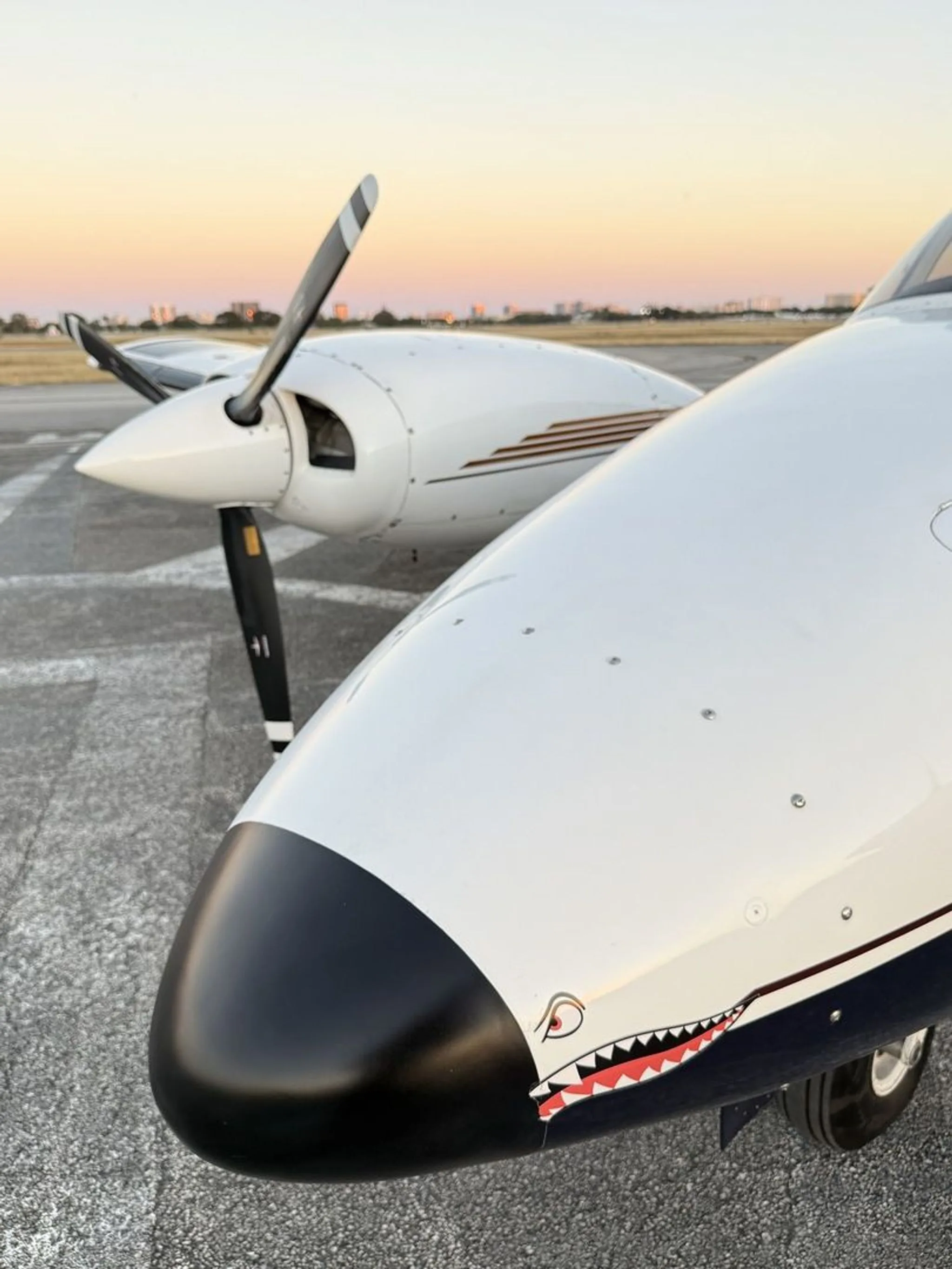 A close-up of the Piper Seneca III's nose, featuring a black tip and a shark mouth decal.
