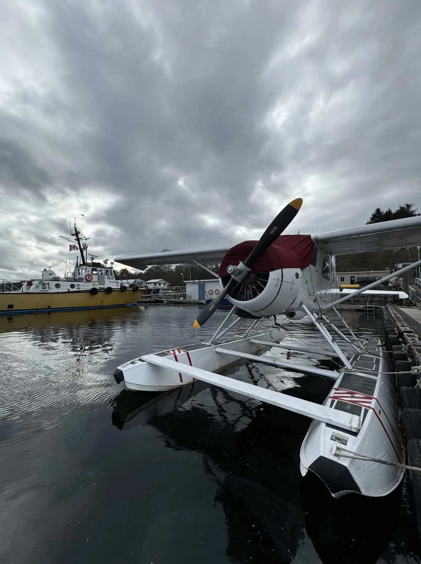 Side view of a de Havilland Beaver floatplane on a dock.