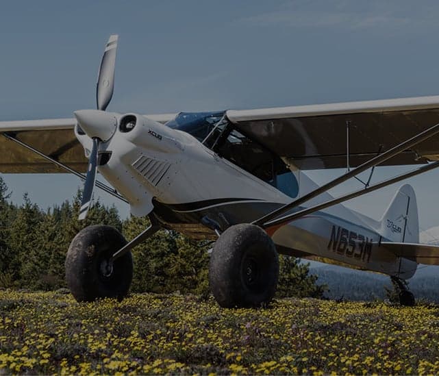 White and gray XCub aircraft parked in a field of yellow flowers.