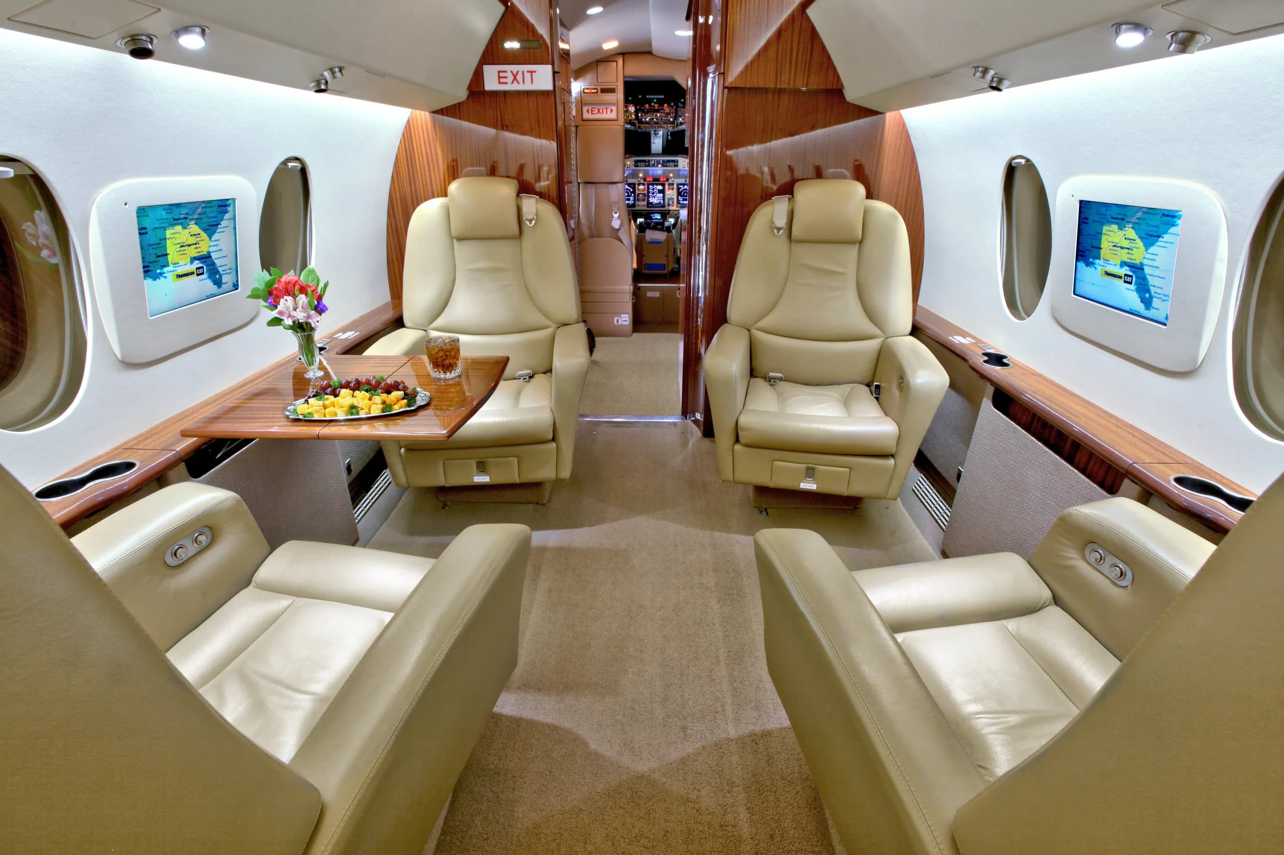 View of the aircraft's interior cabin with leather seats and a table.