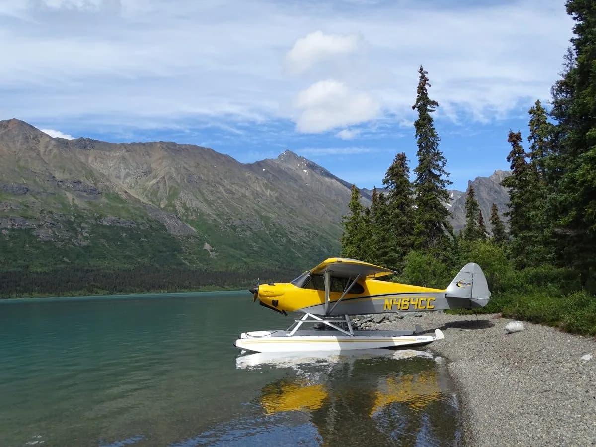 A yellow and grey Carbon Cub EX-2 floatplane (N464CC) is partially beached on a rocky shore next to a clear lake with mountains and trees in the background.