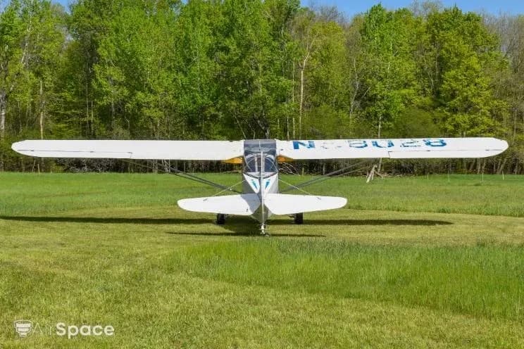Rear view of a white single-engine high-wing aircraft with blue stripes, showing N58028 on the wing, parked on a grassy field.