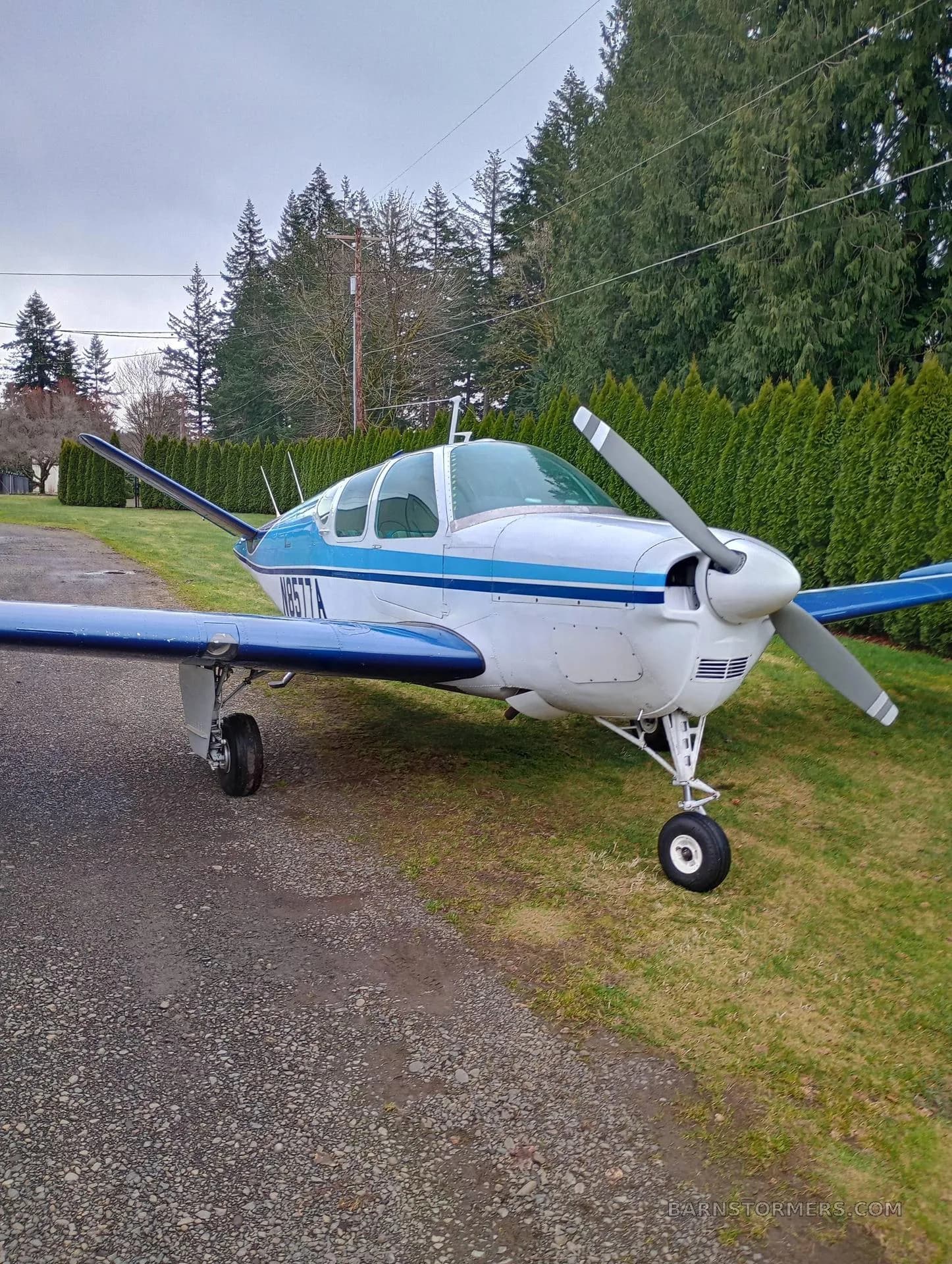 A white and blue single-engine aircraft, N1877A, parked on grass next to a gravel path with trees in the background.