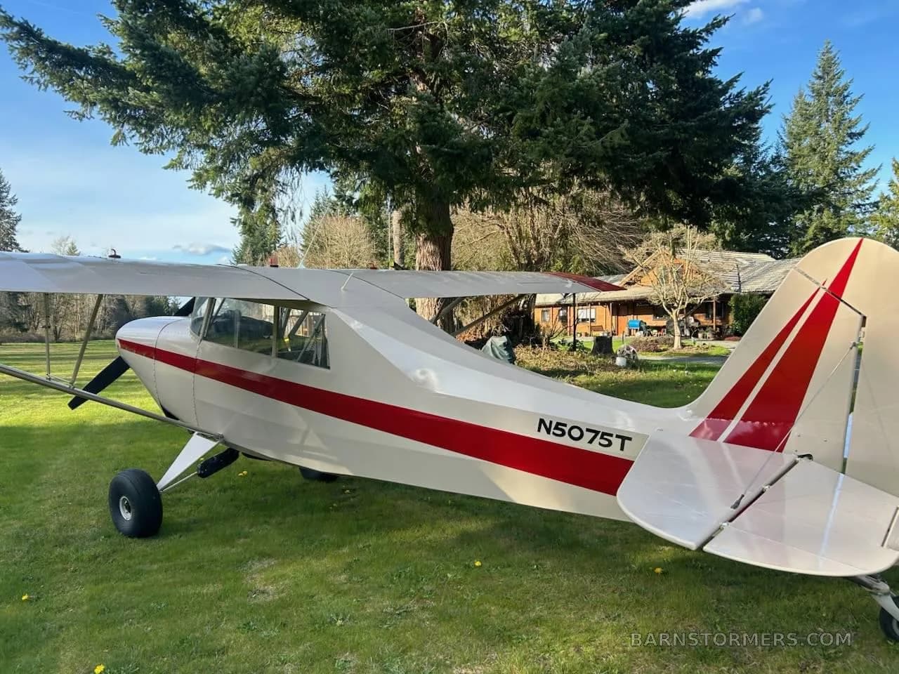 A white and red single-engine taildragger aircraft (N5075T) parked on a green lawn with trees and a building in the background.