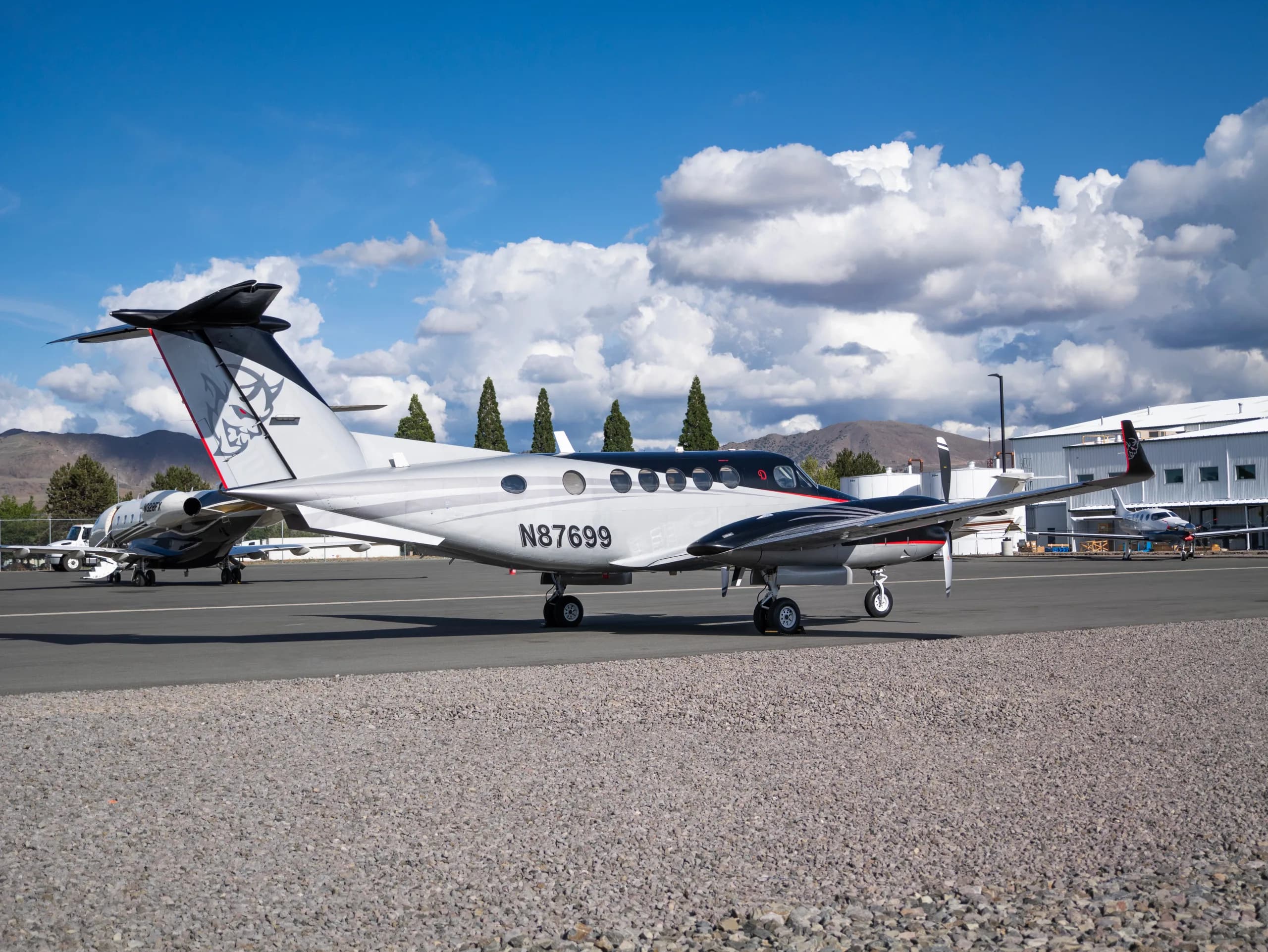 A side view of the N87699 twin-turboprop aircraft, featuring a silver and black paint scheme with a custom tail logo, parked on an airport tarmac.