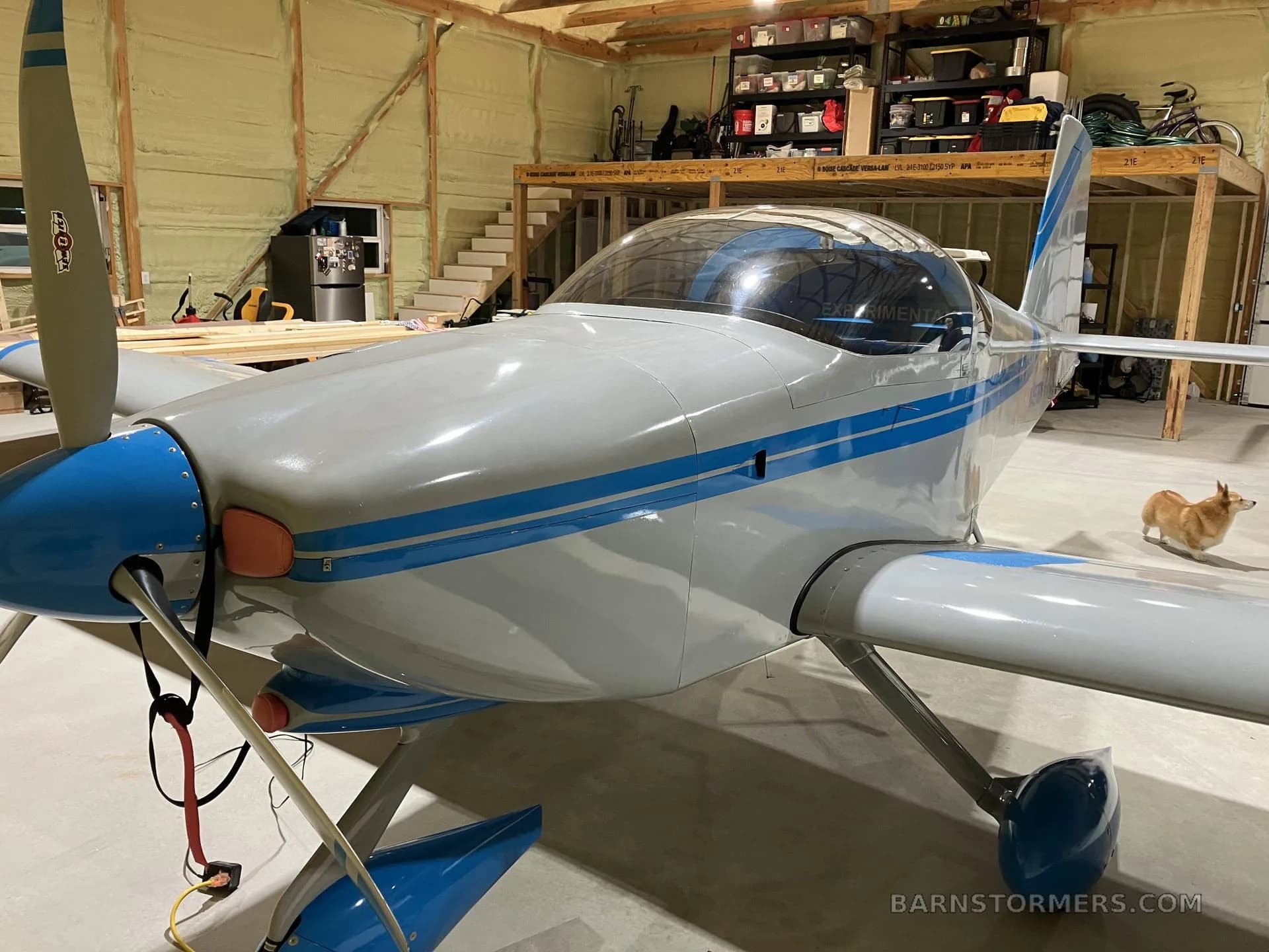 A close-up front view of the light gray and blue experimental aircraft, N497BW, in a hangar with a small dog in the background.