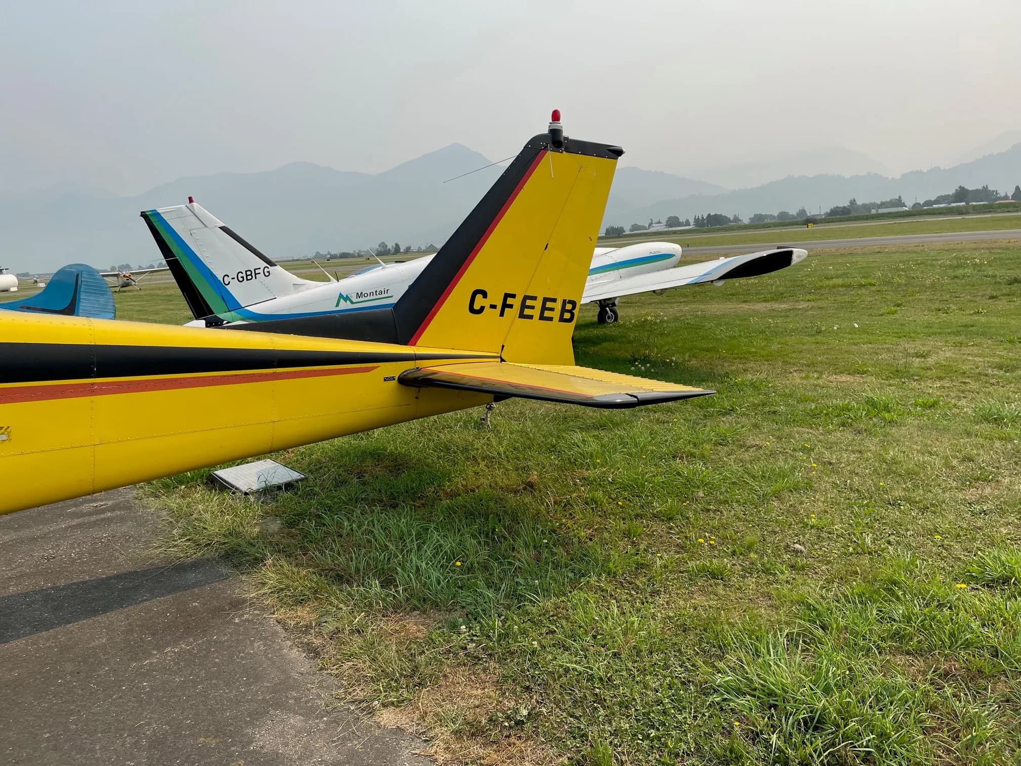 Tail of a yellow and black Cessna aircraft with registration C-FEEB.