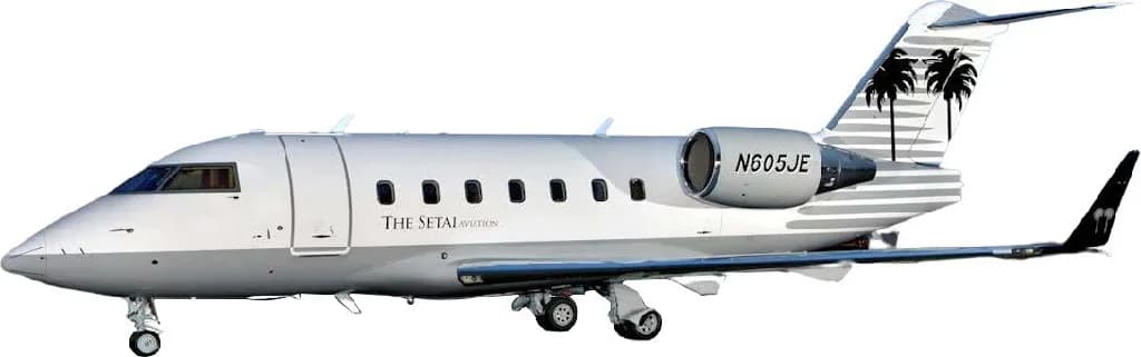 A side view of a white Bombardier Challenger 605 business jet, registration N605JE, with palm tree tail art, against a white background.