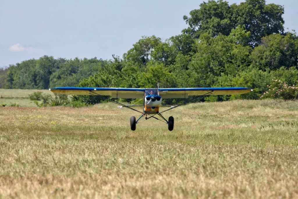 Aircraft landing on a grassy field.