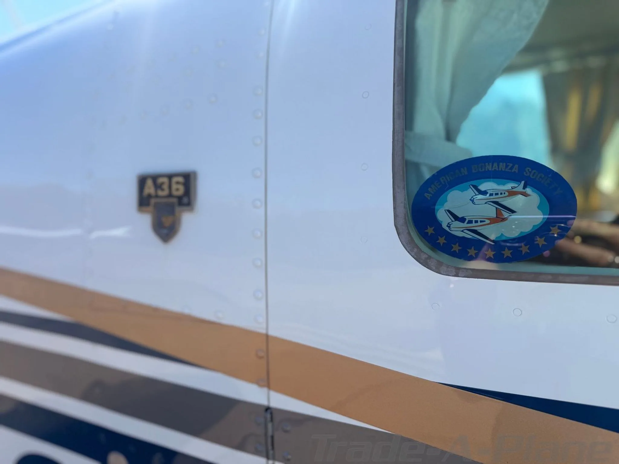 A close-up of an 'American Bonanza Society' decal and an 'A36' badge on the fuselage of the aircraft.