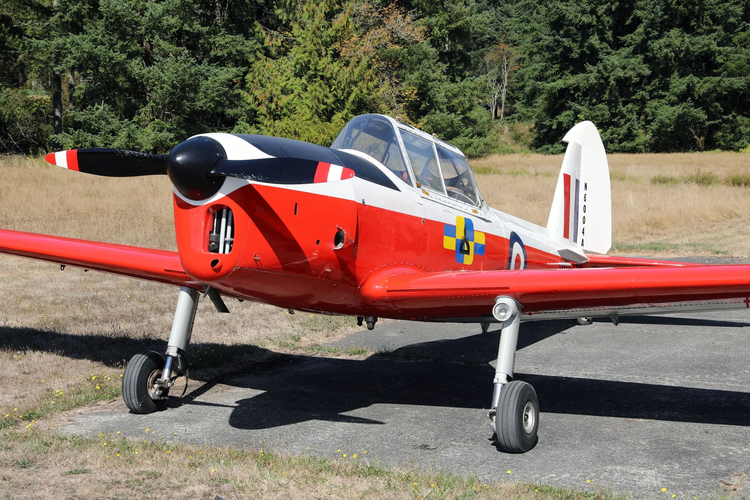 A front-side view of a red, white, and black de Havilland Canada DHC-1 Chipmunk aircraft with British roundels and "WC459" markings, parked on an airfield.