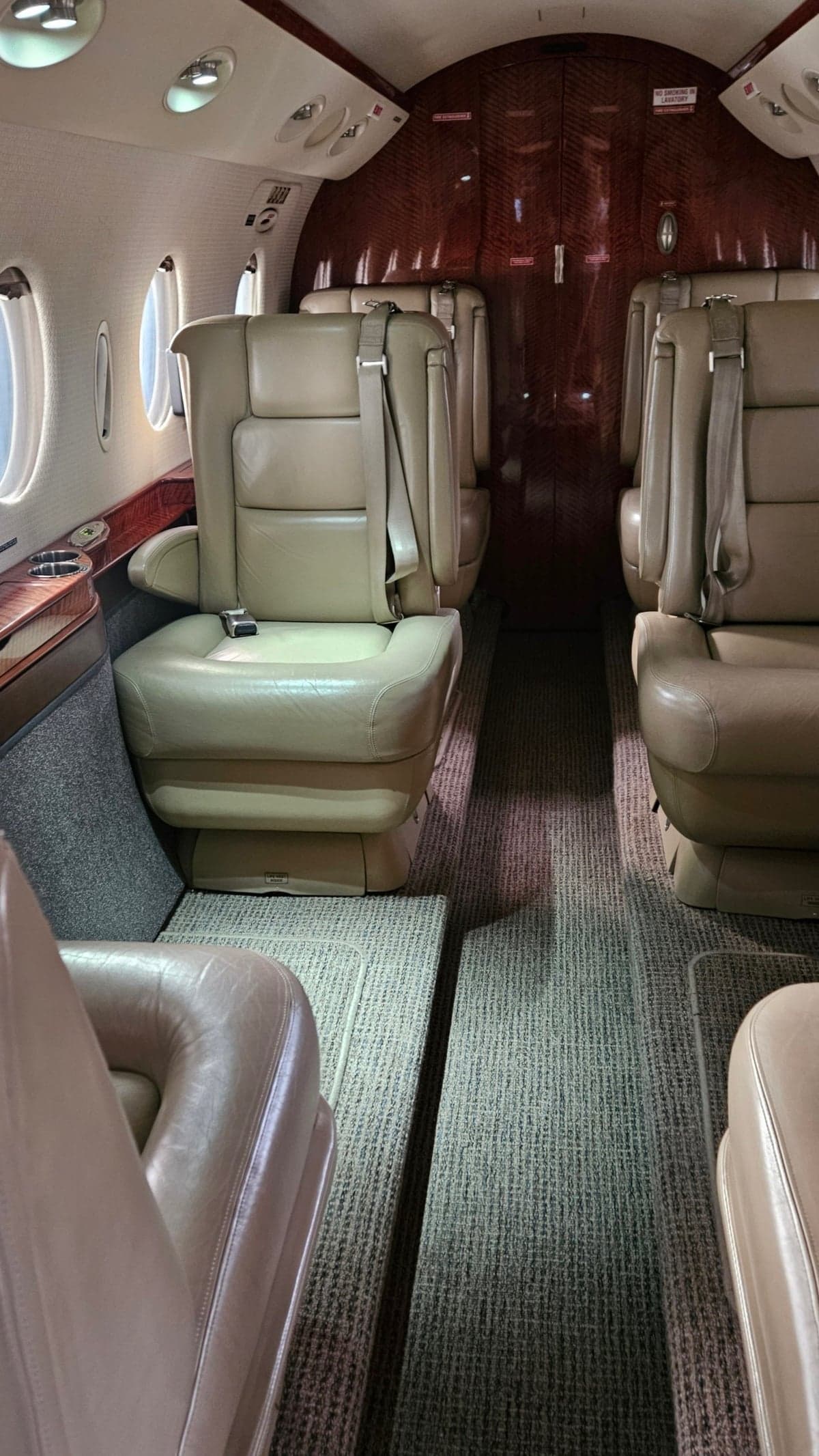 The aircraft cabin features tan leather seats and dark wood paneling.