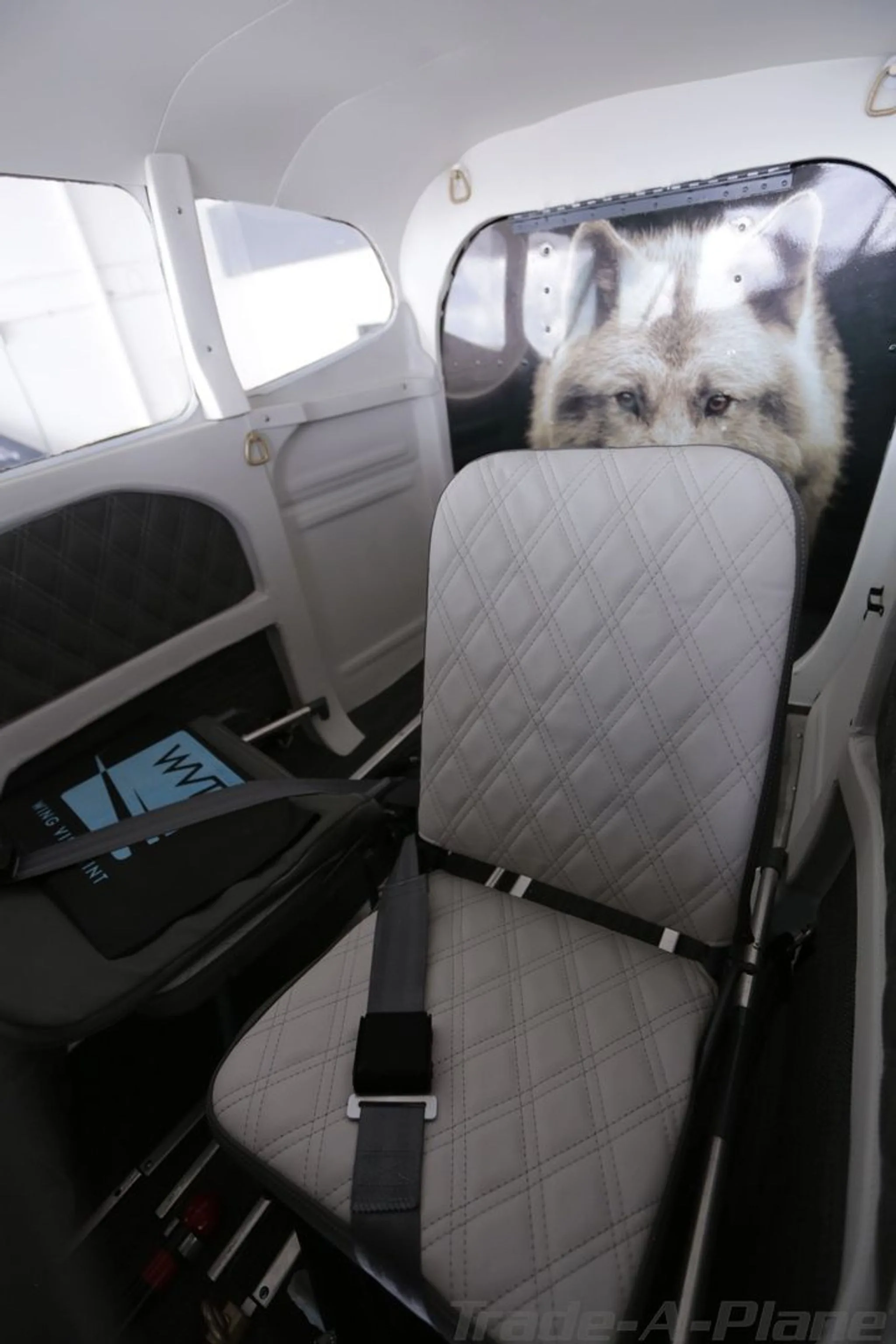 The aircraft's interior cabin, featuring a single seat with diamond stitching and a large wolf graphic on the rear bulkhead.