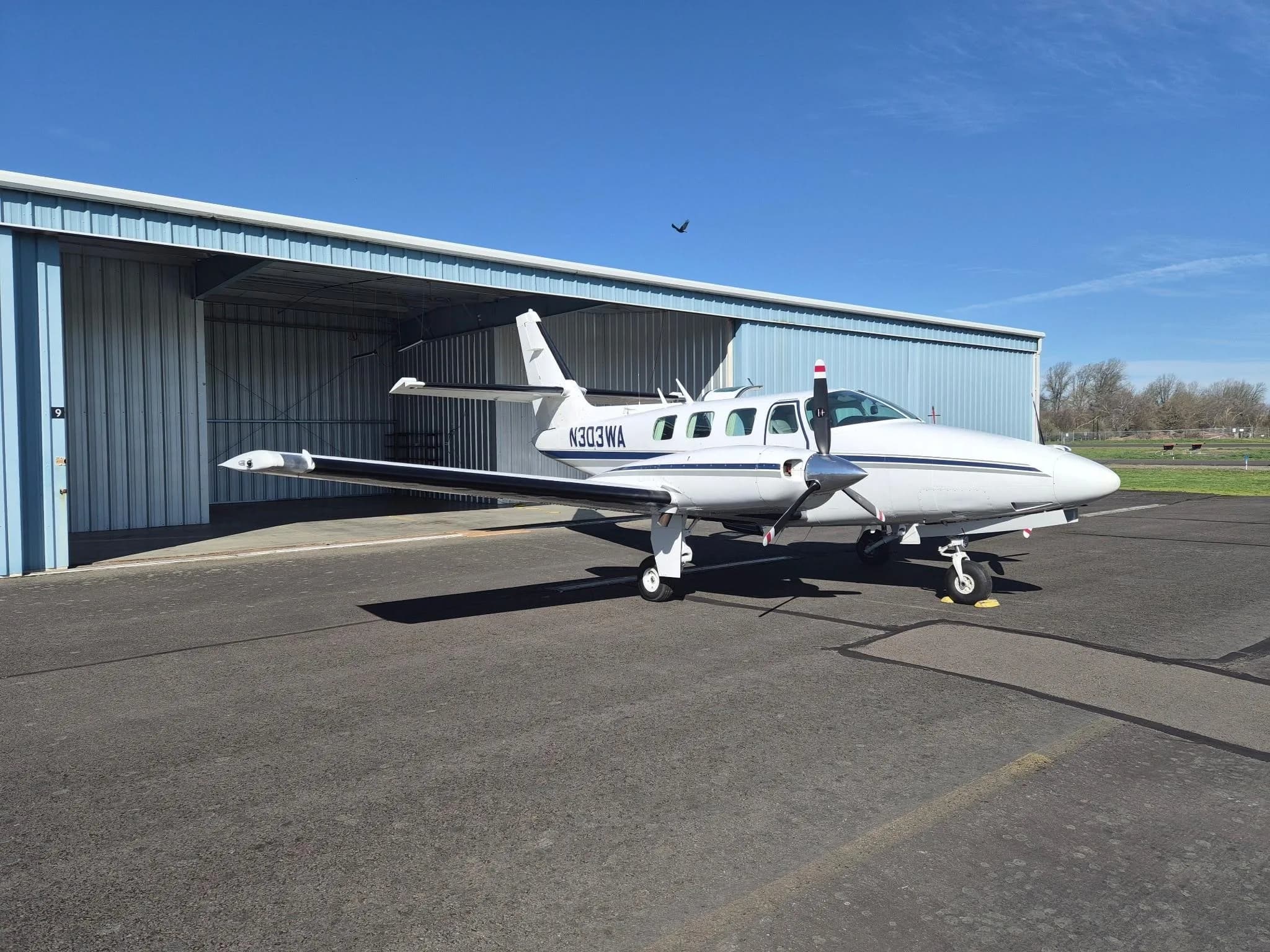 A white twin-engine propeller aircraft with a dark stripe, registration N303WA, parked on an asphalt apron next to a light blue hangar under a clear blue sky.