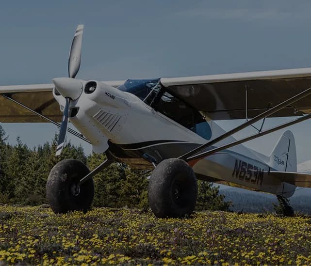 White XCub aircraft parked on a field of yellow flowers.