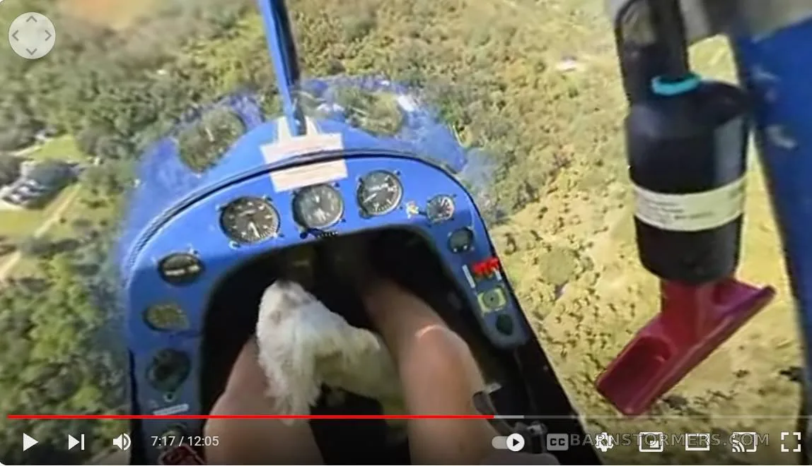 A pilot's view from a blue ultralight cockpit, showing instruments and a chicken in the pilot's lap, flying over green terrain.