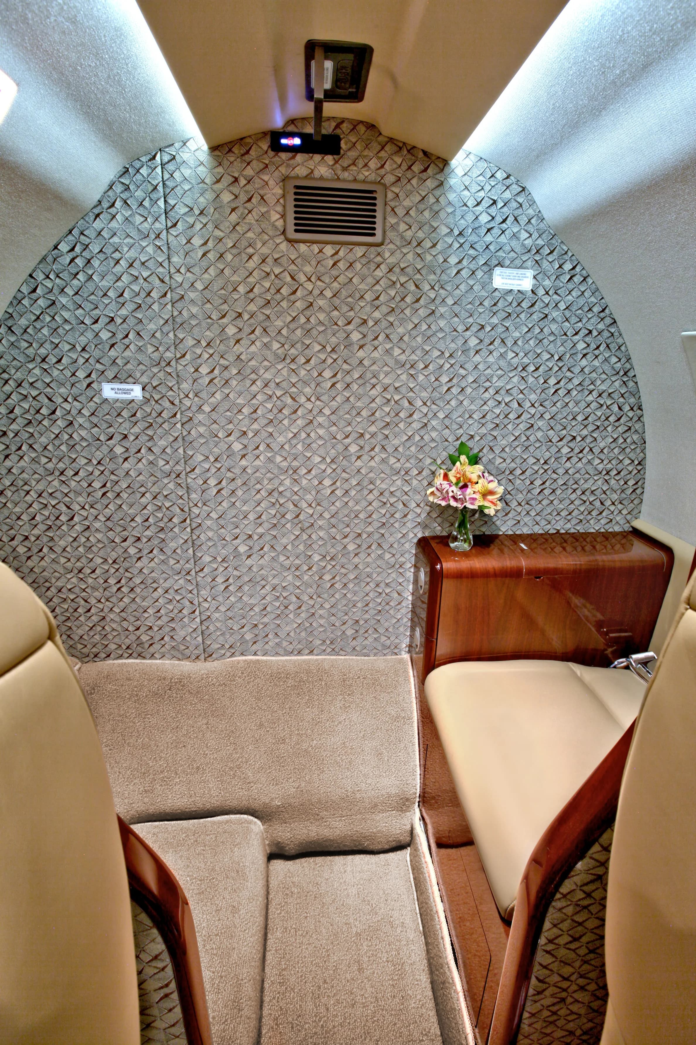 A view of the aircraft's interior, showing a textured wall and leather seating.