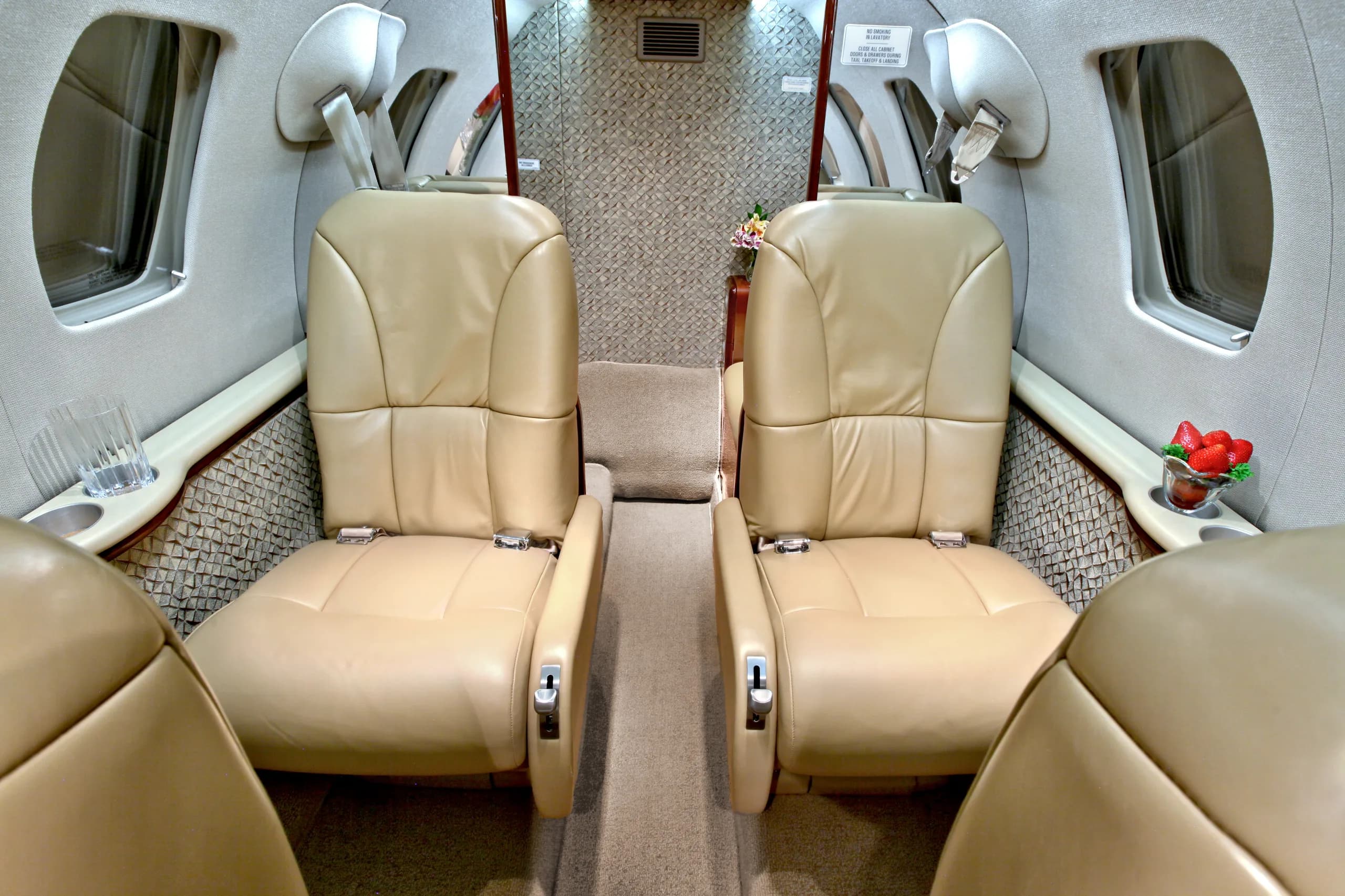 A view of the aircraft's interior, showing leather seats and woven side panels.