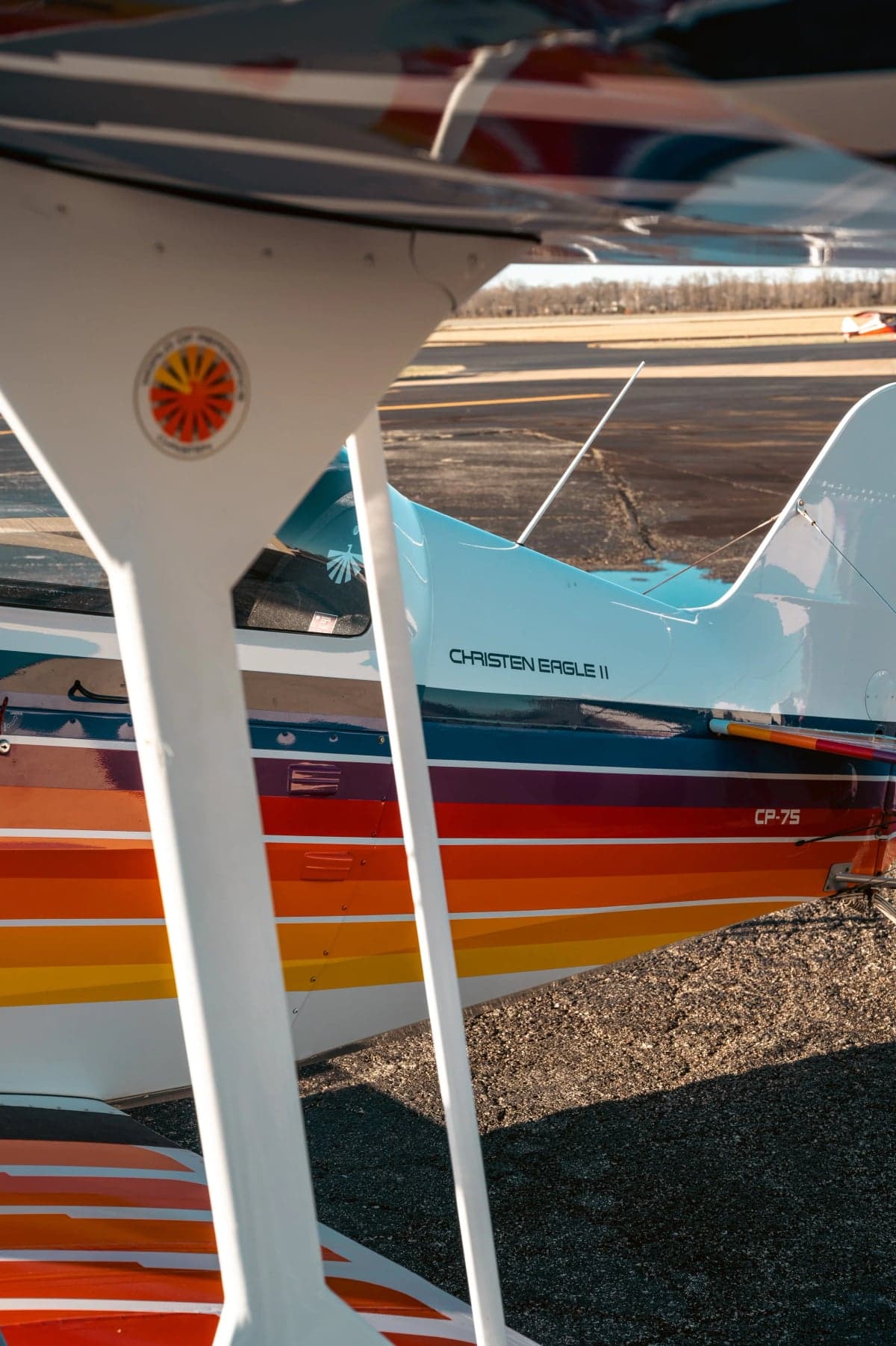 Close-up of the Christen Eagle II biplane showing the colorful paint scheme and logo on the wing strut.