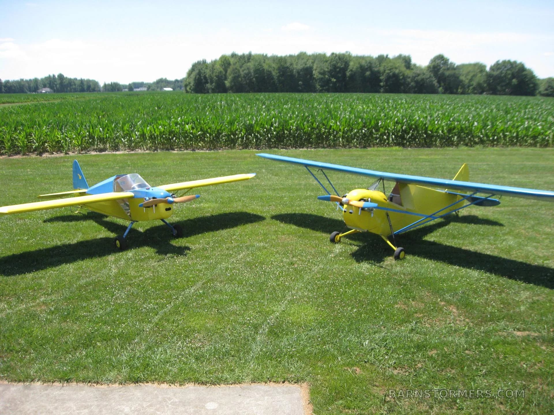 Two yellow and blue single-engine aircraft parked on a grassy field next to a cornfield.