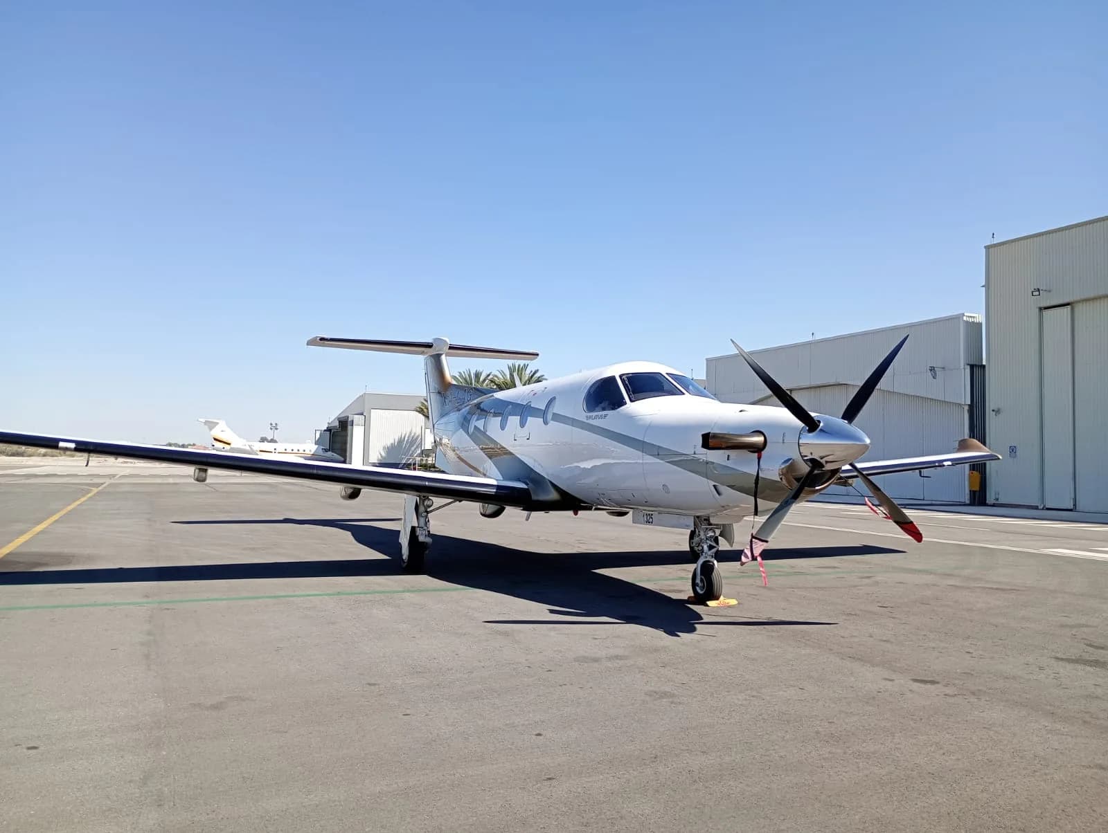 A white and grey Pilatus PC-12 turboprop aircraft parked on an asphalt apron under a clear blue sky.