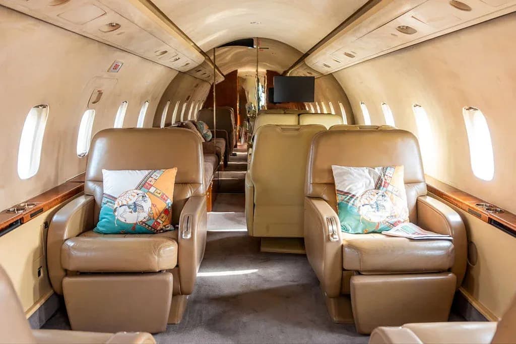 View of a private jet cabin interior with tan leather seats and decorative pillows.